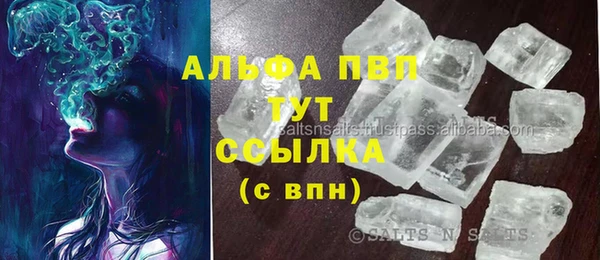 сатива Магас